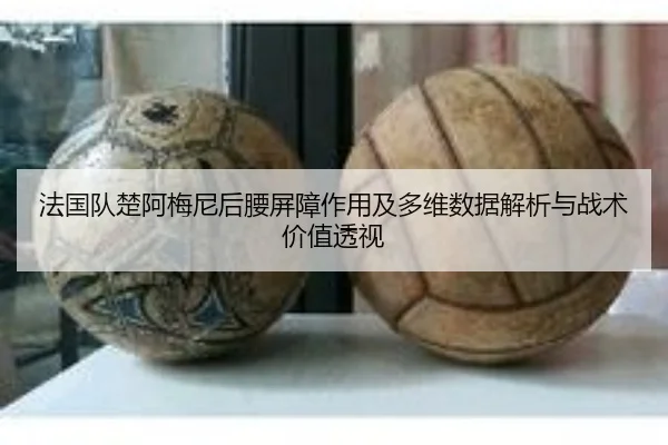 法国队楚阿梅尼后腰屏障作用及多维数据解析与战术价值透视